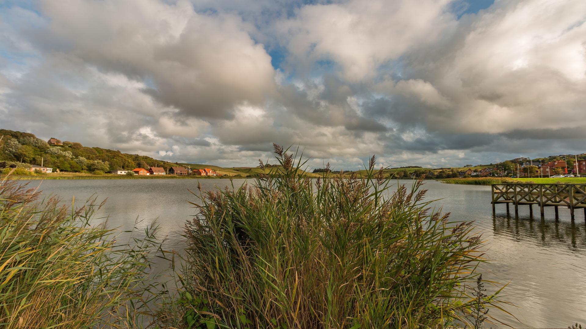 Stranden en Wouden van Jutland - 10-daagse roadtrip – afbeelding 2