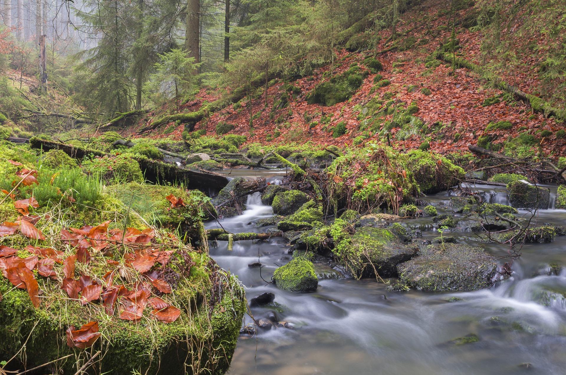 Wandelen in het Teutoburger Wald - 8-daagse roadtrip