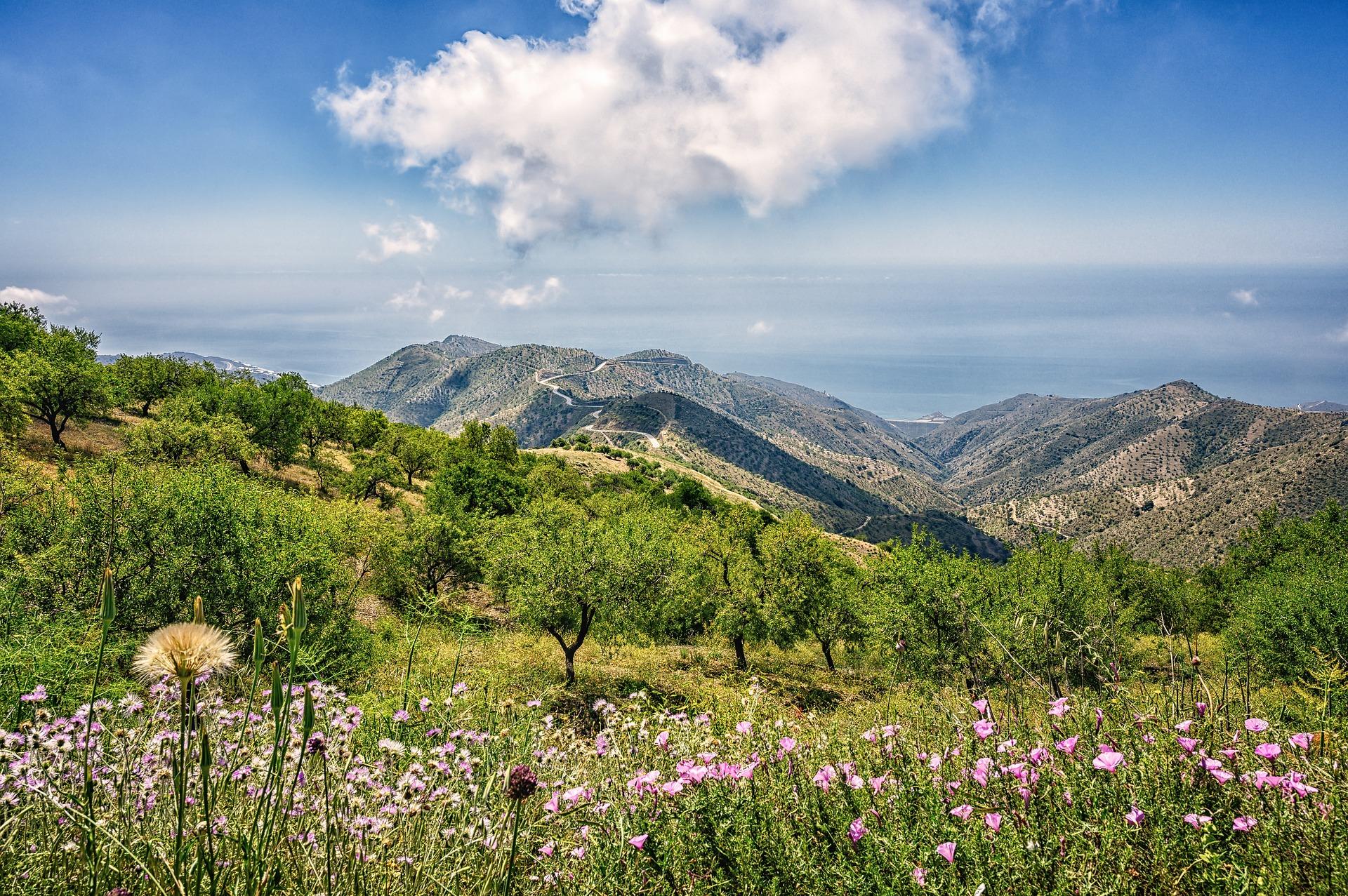 Romantisch genieten in Andalucia - 12-daagse standplaats reis – afbeelding 3