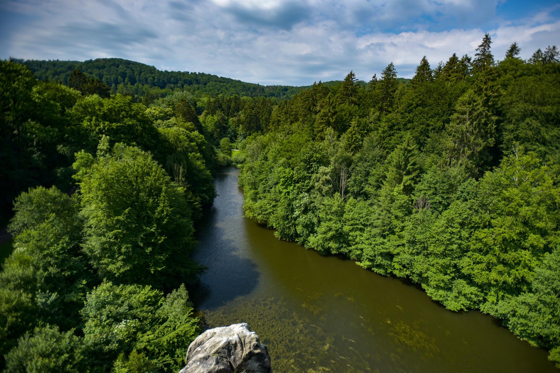 Wandelen in het Teutoburger Wald - 8-daagse roadtrip – afbeelding 2