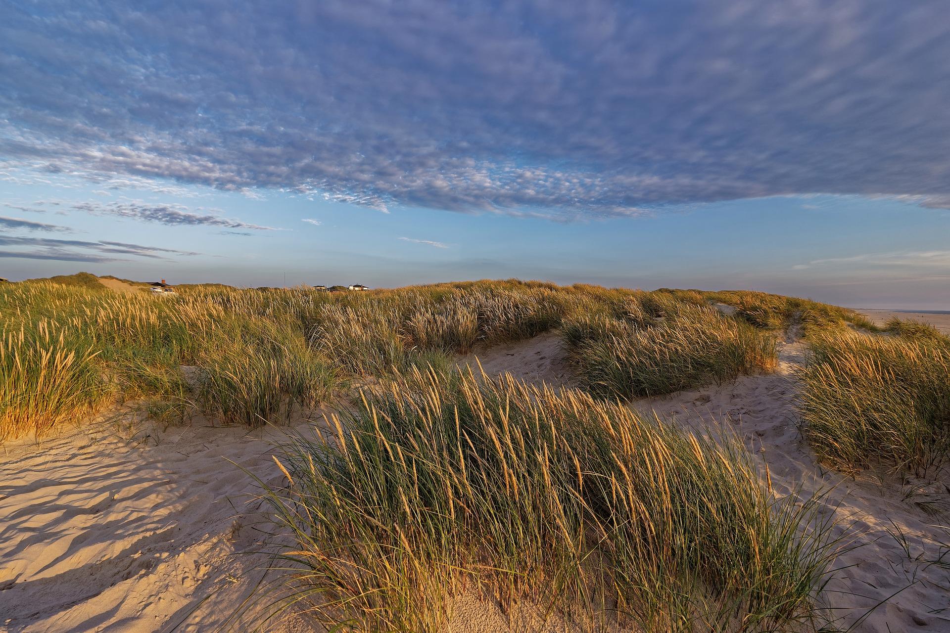 Stranden en Wouden van Jutland - 10-daagse roadtrip – afbeelding 5