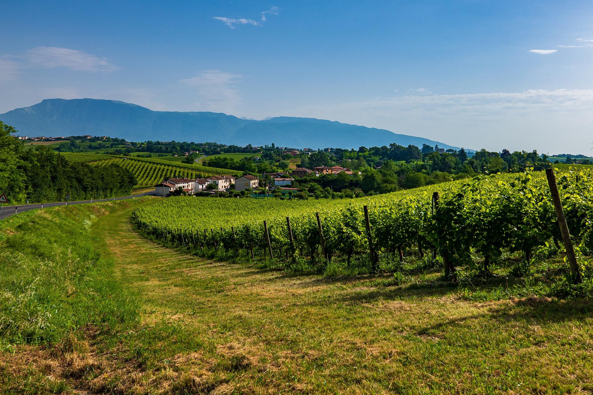 Authentiek Noord-Oost Italie - 15-daagse roadtrip – afbeelding 5