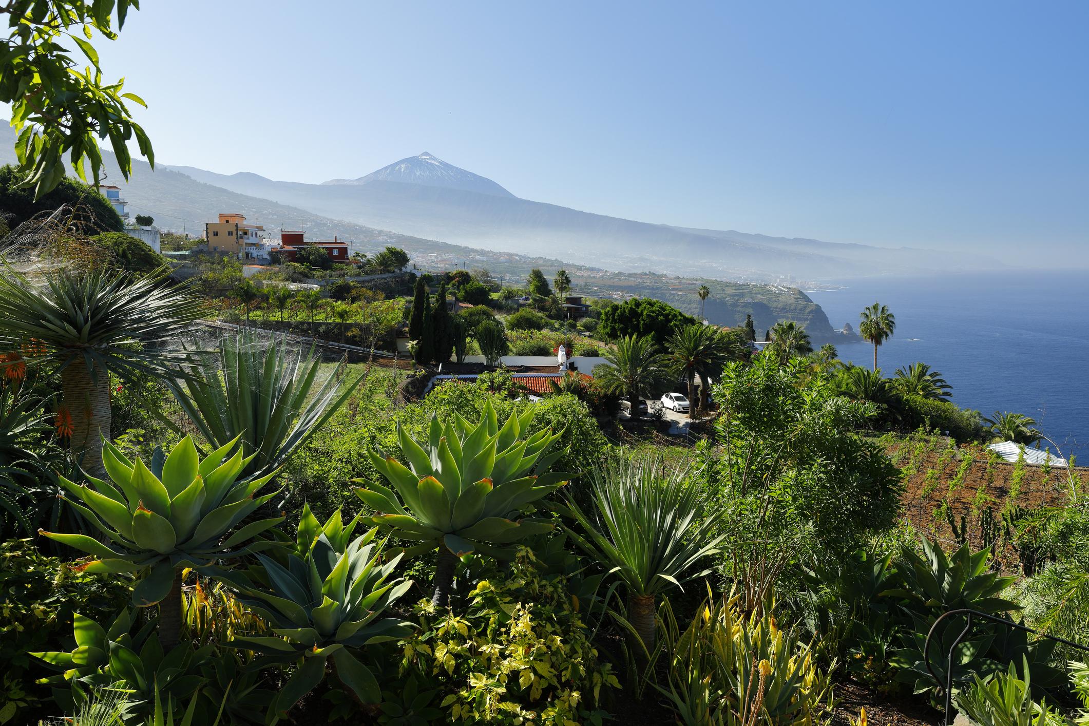 Landelijk Tenerife - 11-daagse reis – afbeelding 5