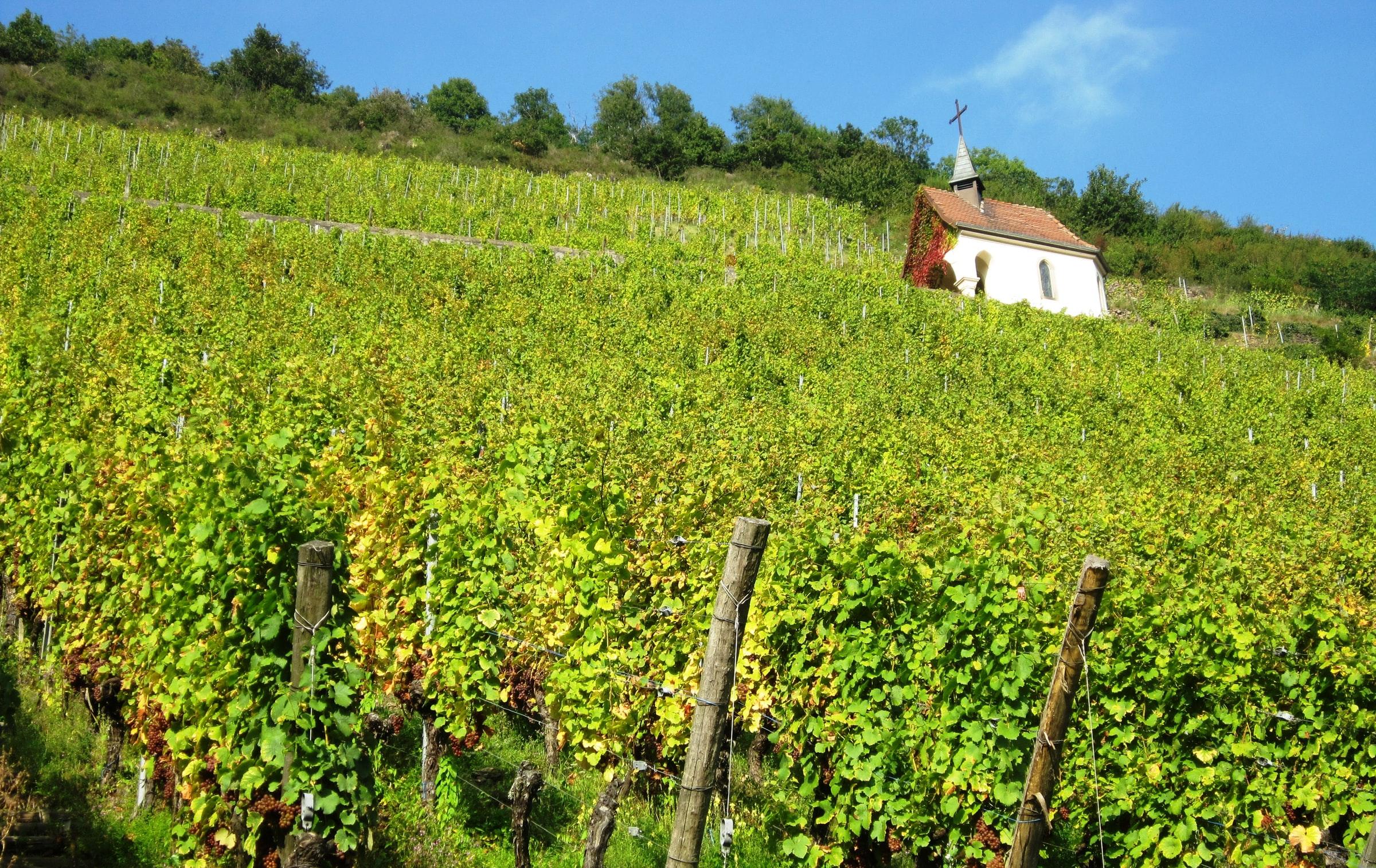 Ontdek Alsace in Stijl - 7-daagse roadtrip – afbeelding 4