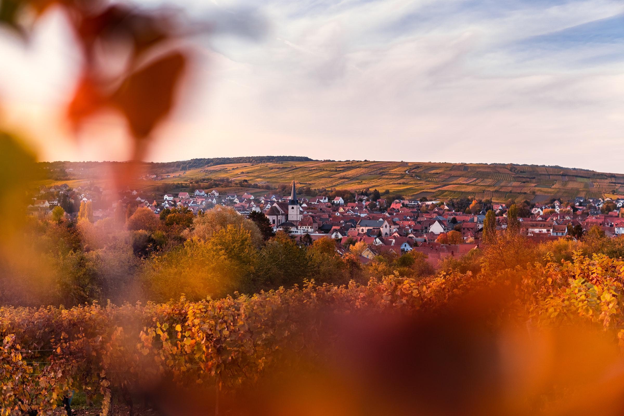 Ontdek Alsace in Stijl - 7-daagse roadtrip – afbeelding 5