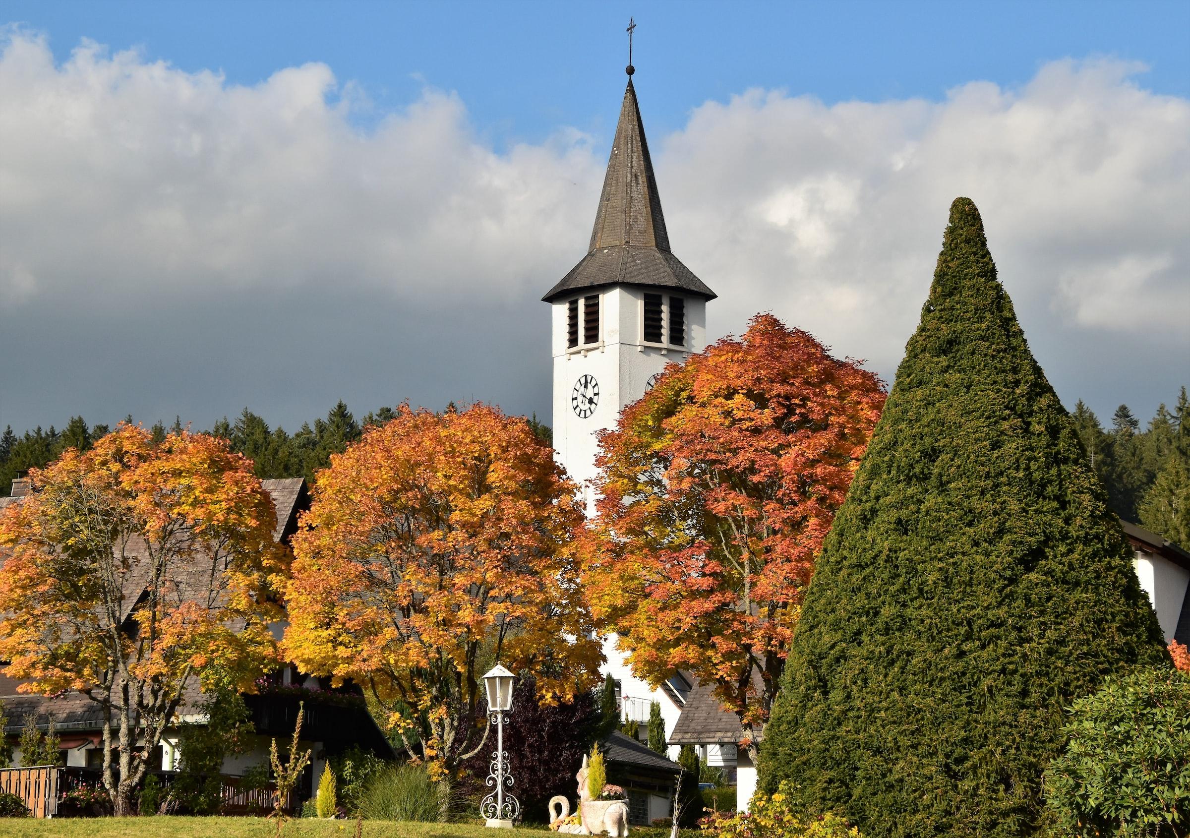 Midden en Zuid Duitsland Van Bonn naar Zurich - 10-daagse roadtrip – afbeelding 5