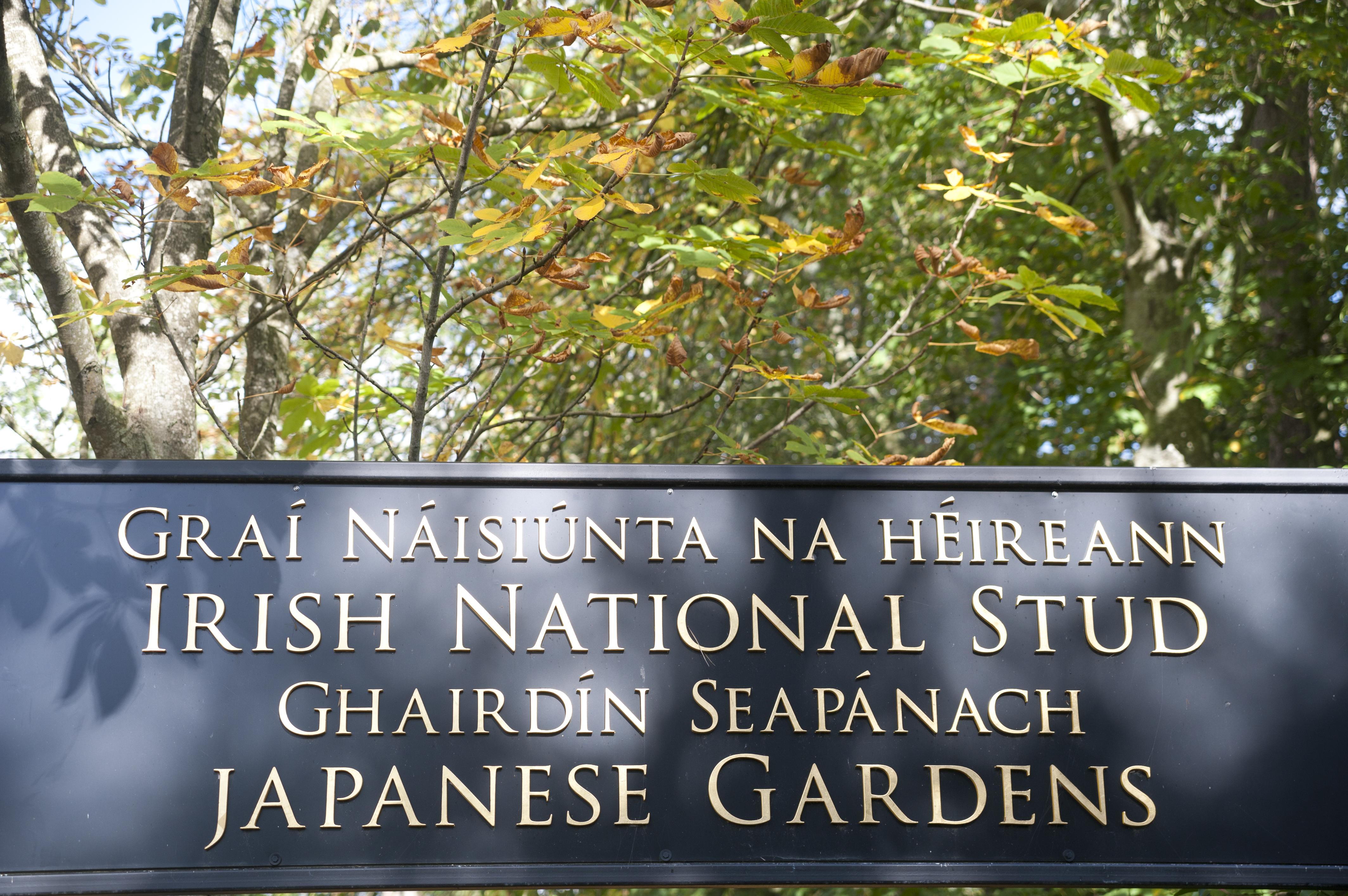 Hoogtepunten van Zuidwest Ierland - 8-daagse fly-drive – afbeelding 3