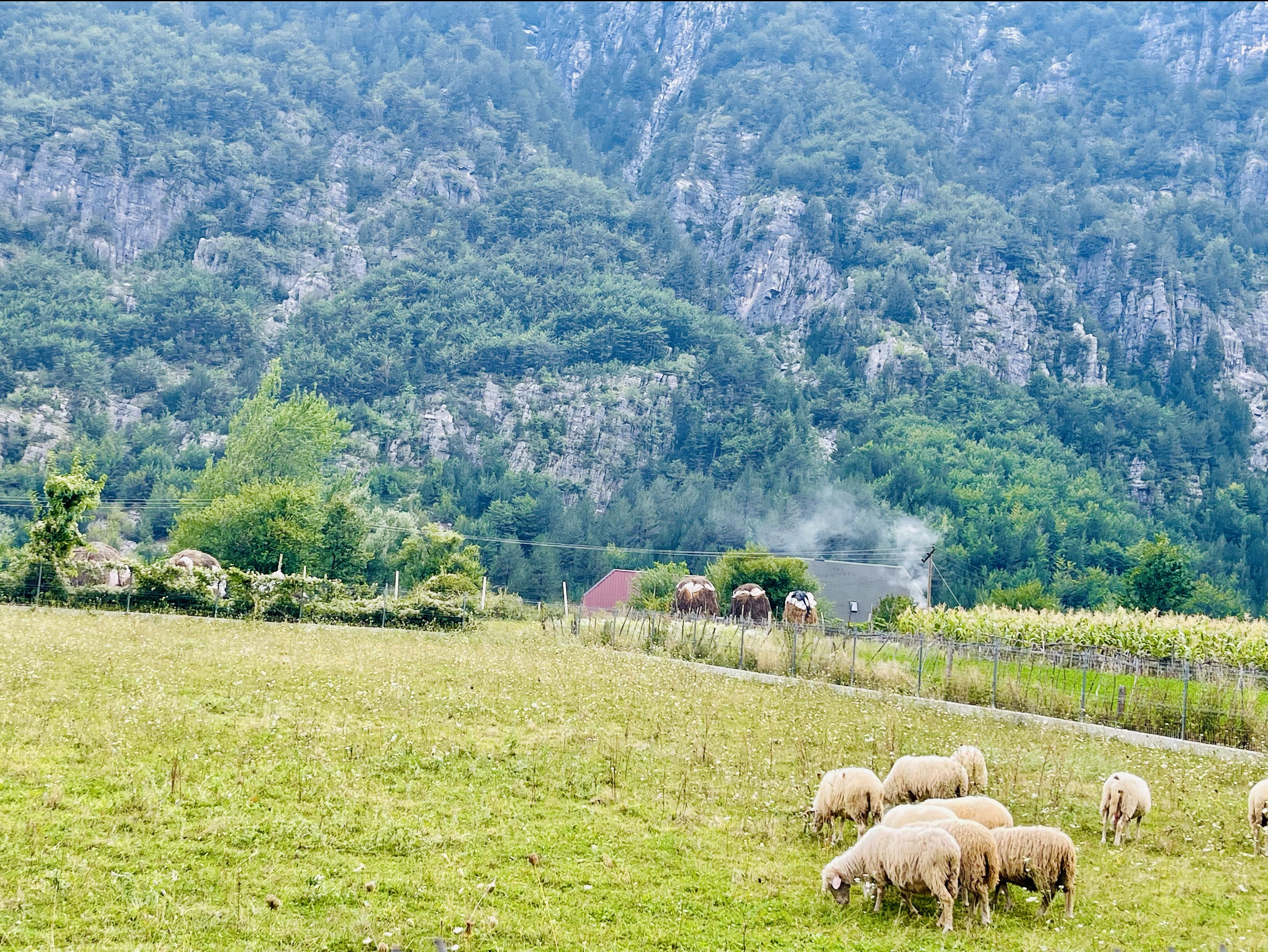 Natuurlijk Albanië - 10-dgse fly-drive – afbeelding 4