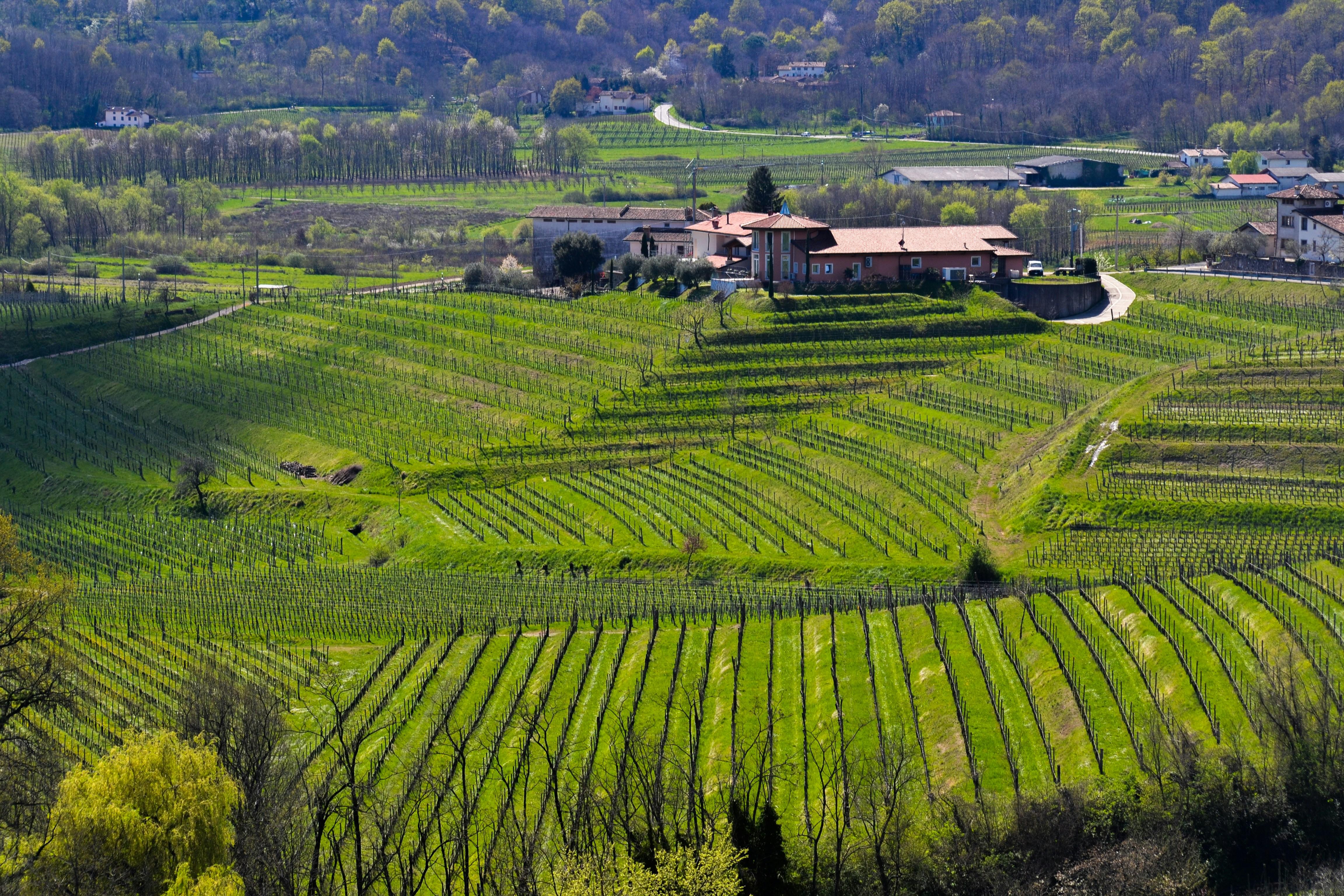 Ontdek Friuli Venezia Giulia - 8-daagse roadtrip – afbeelding 2