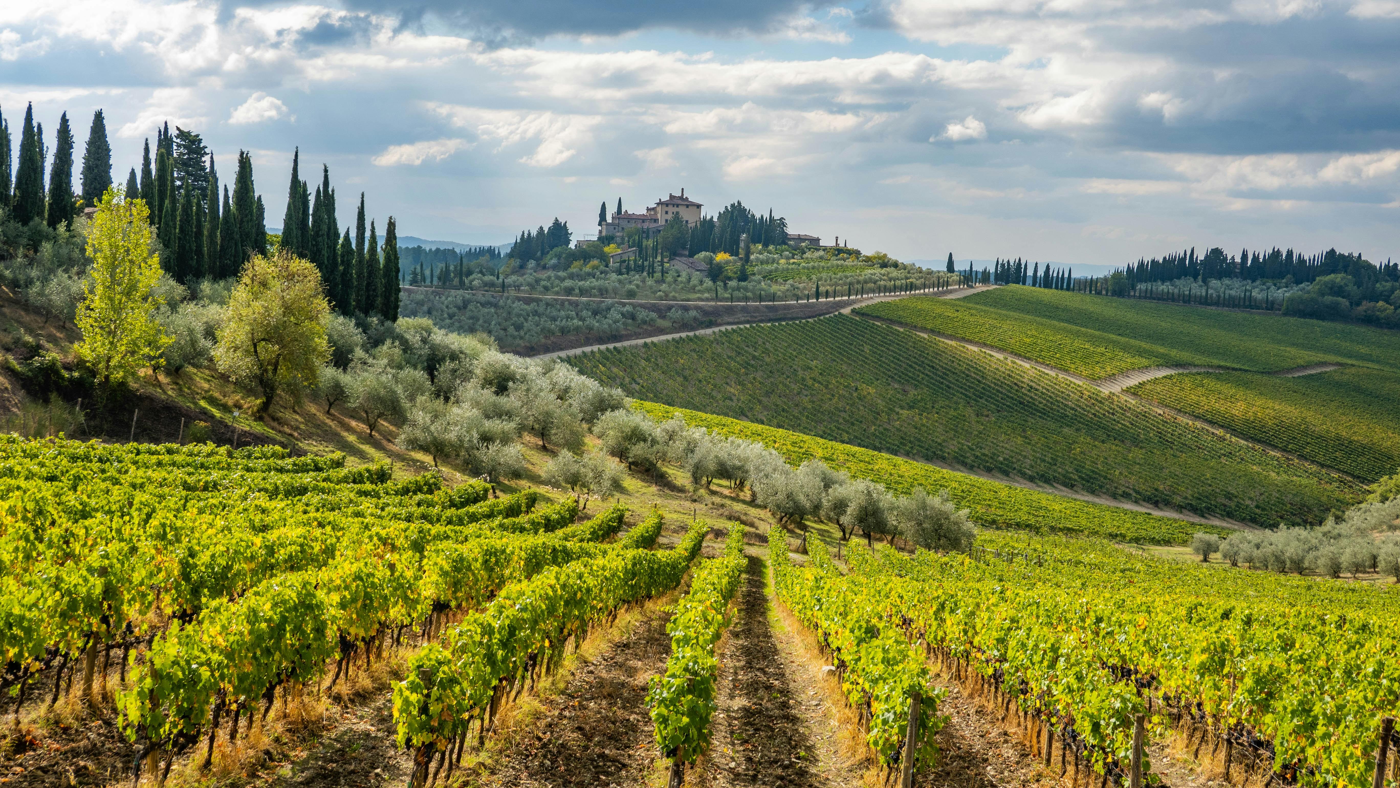 Het hart van Toscane - 9-daagse roadtrip – afbeelding 3