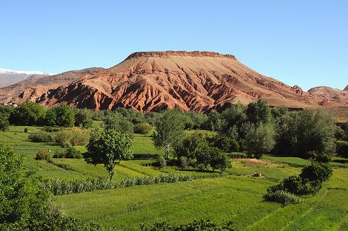 Kasbahs, woestijn en valleien - 11-daagse fly-drive