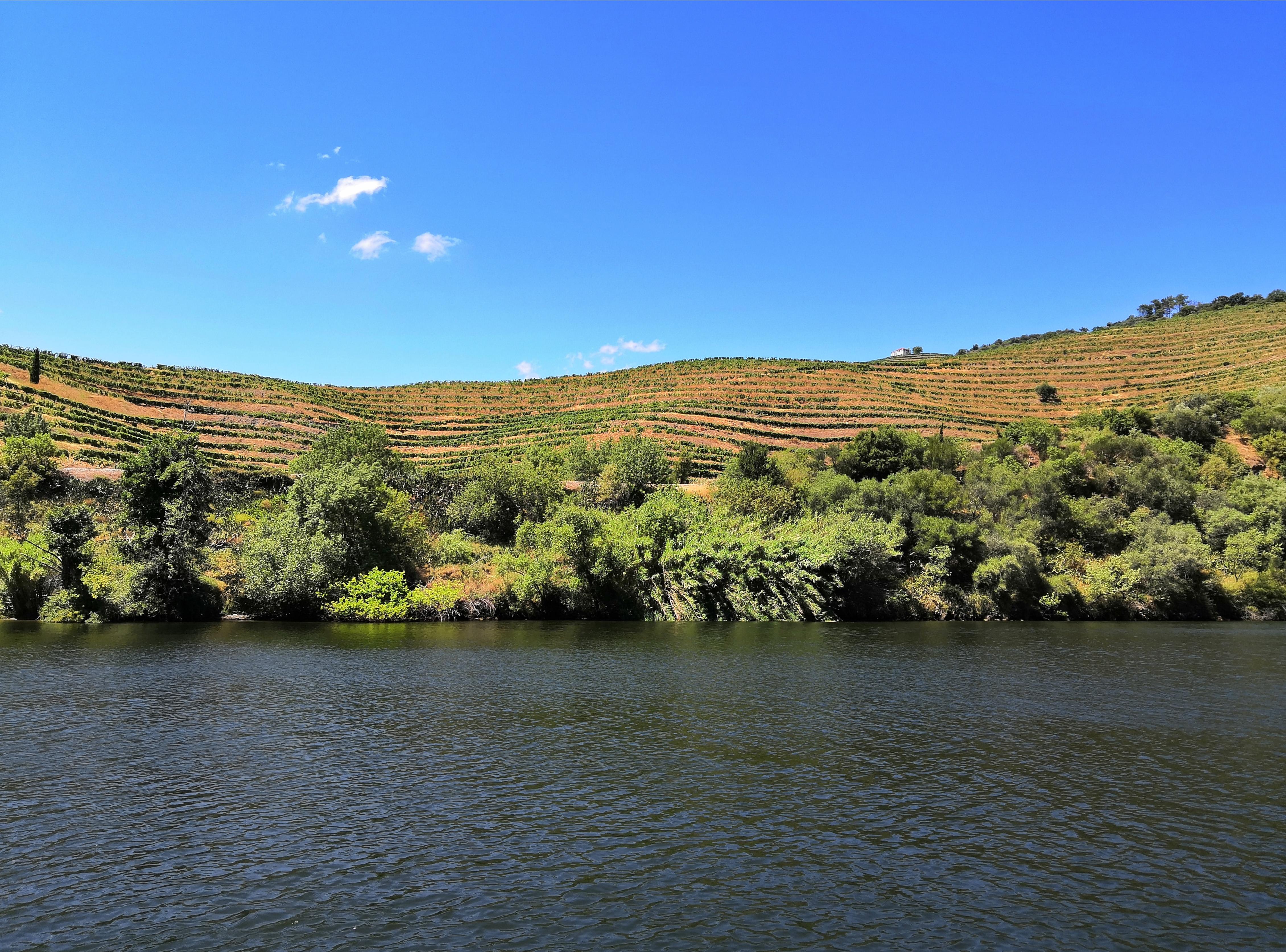 Tussen de Minho en Douro rivier - 8-daagse fly-drive – afbeelding 4