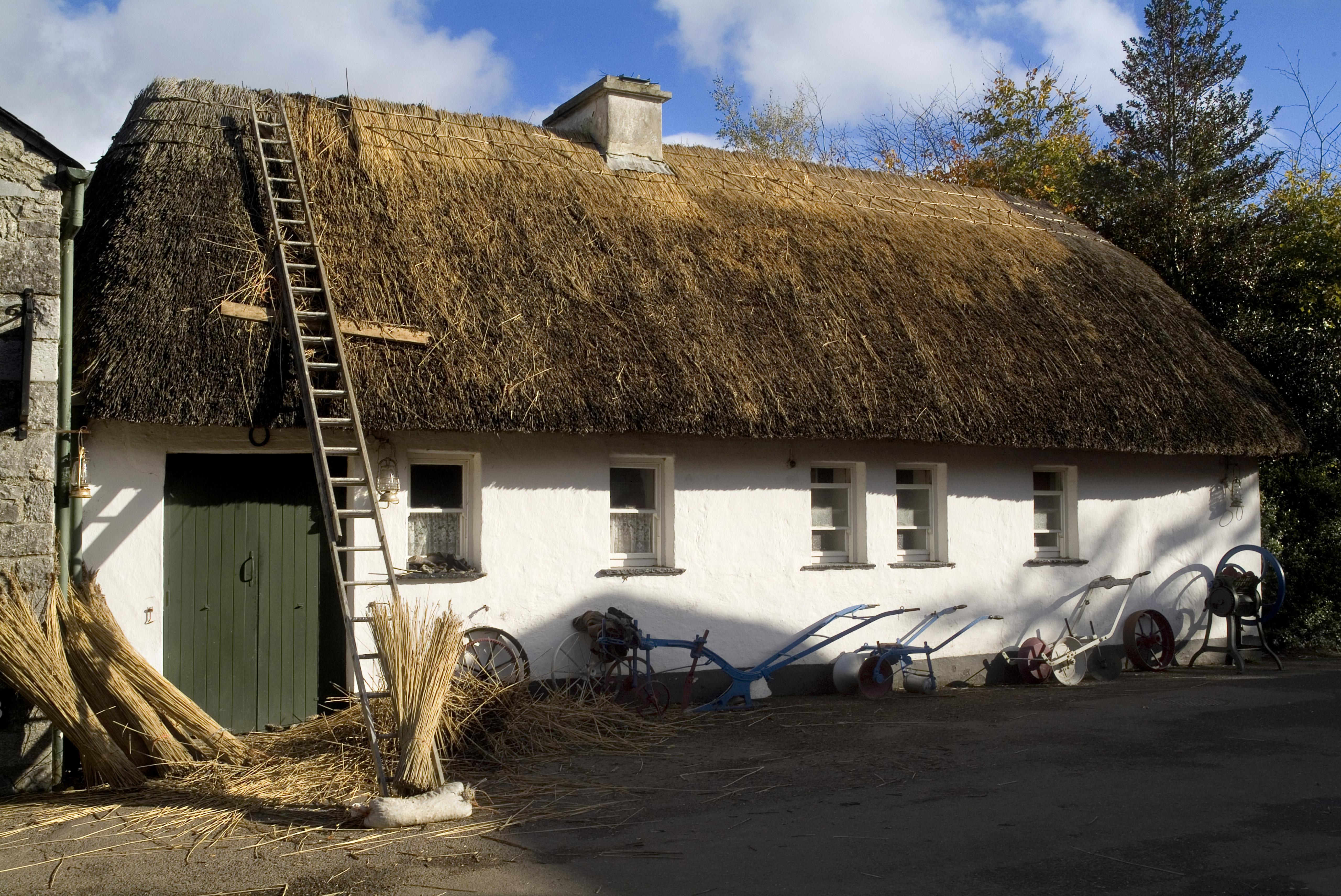 Hoogtepunten van Zuidwest Ierland - 8-daagse fly-drive – afbeelding 5