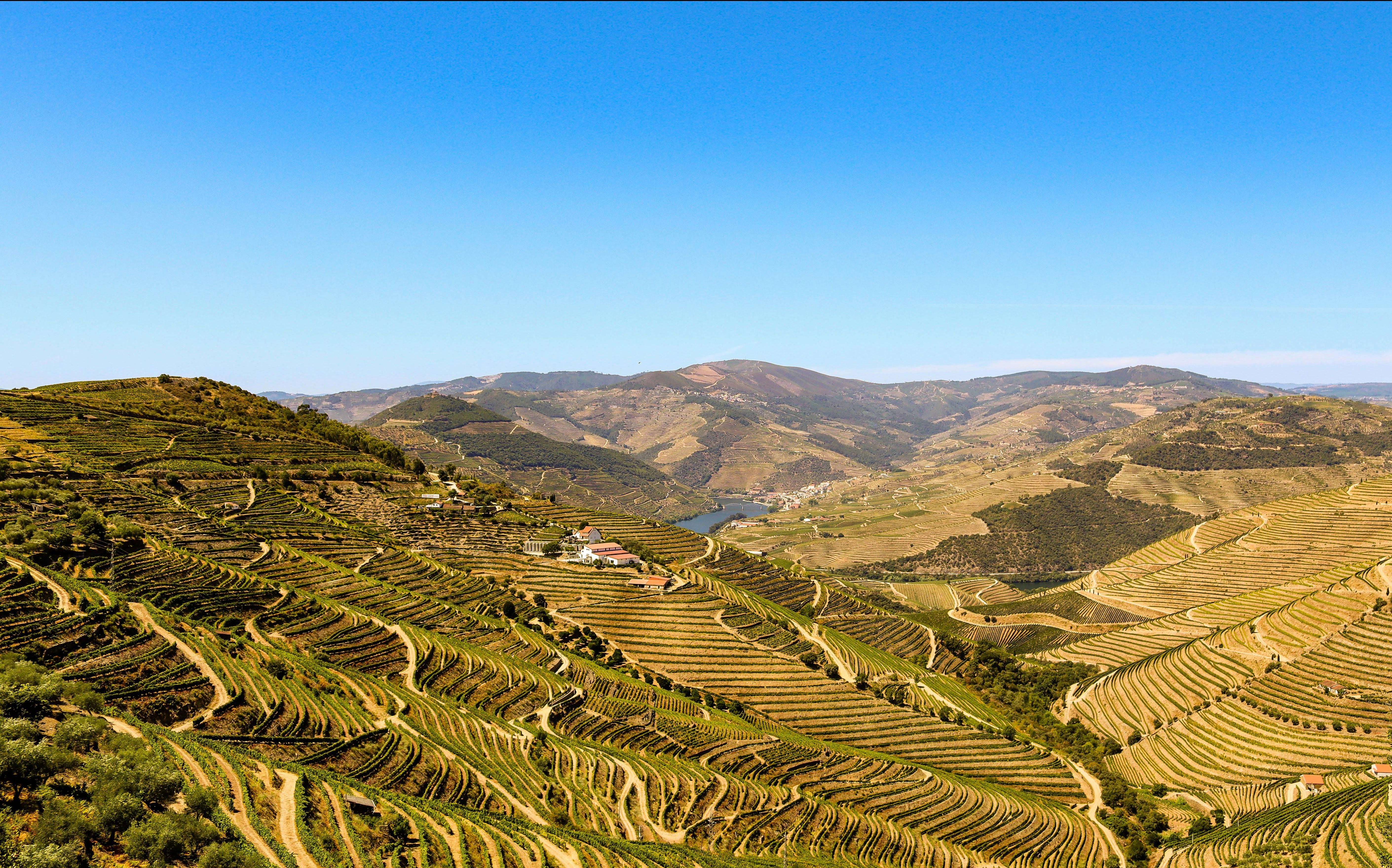 Charmant Portugal van Douro tot Alentejo - 12-daagse fly-drive – afbeelding 2
