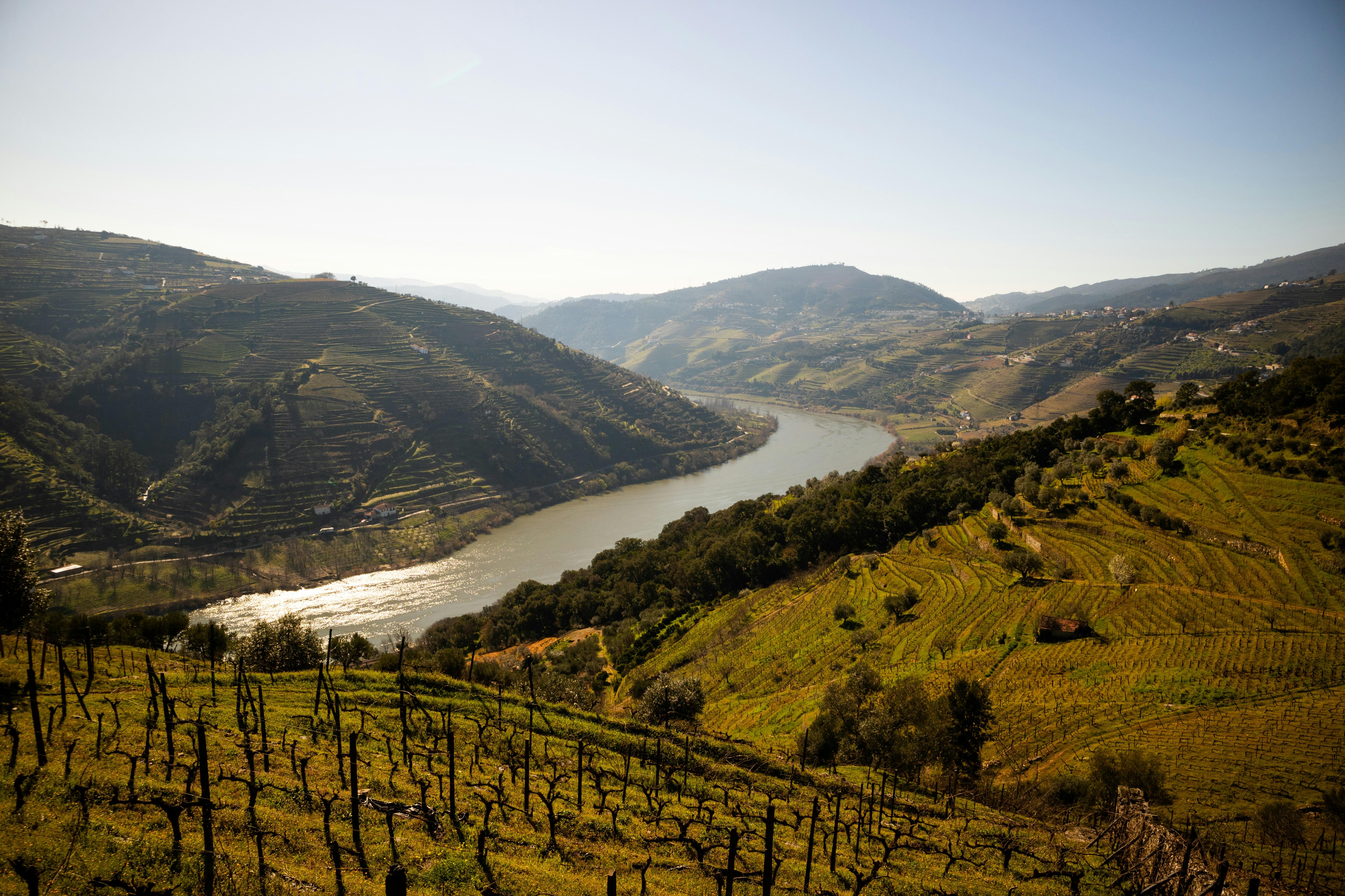 Charmant Portugal van Douro tot Alentejo - 12-daagse fly-drive – afbeelding 3