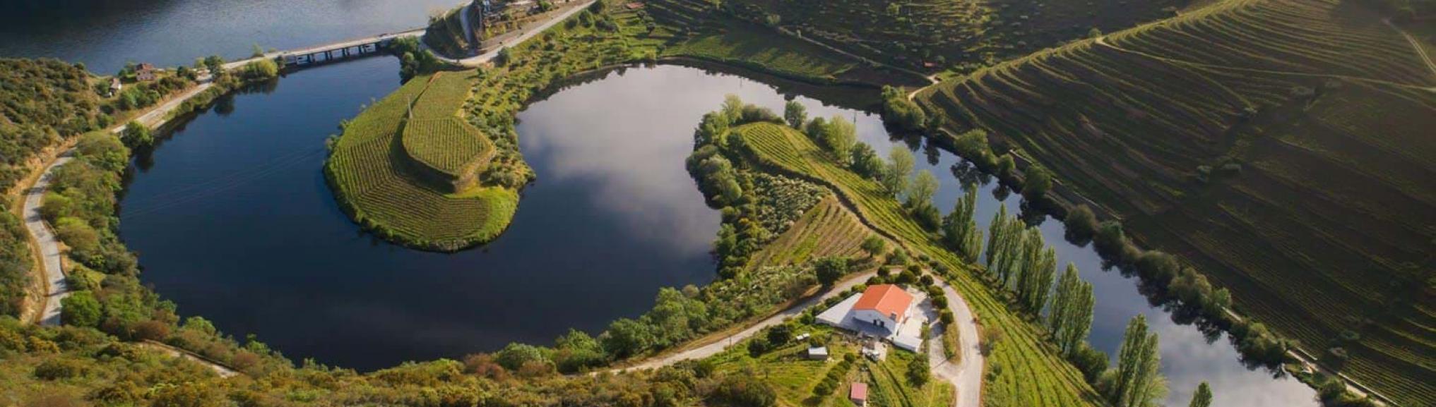 Vila Gale Douro Vineyards | Armamar