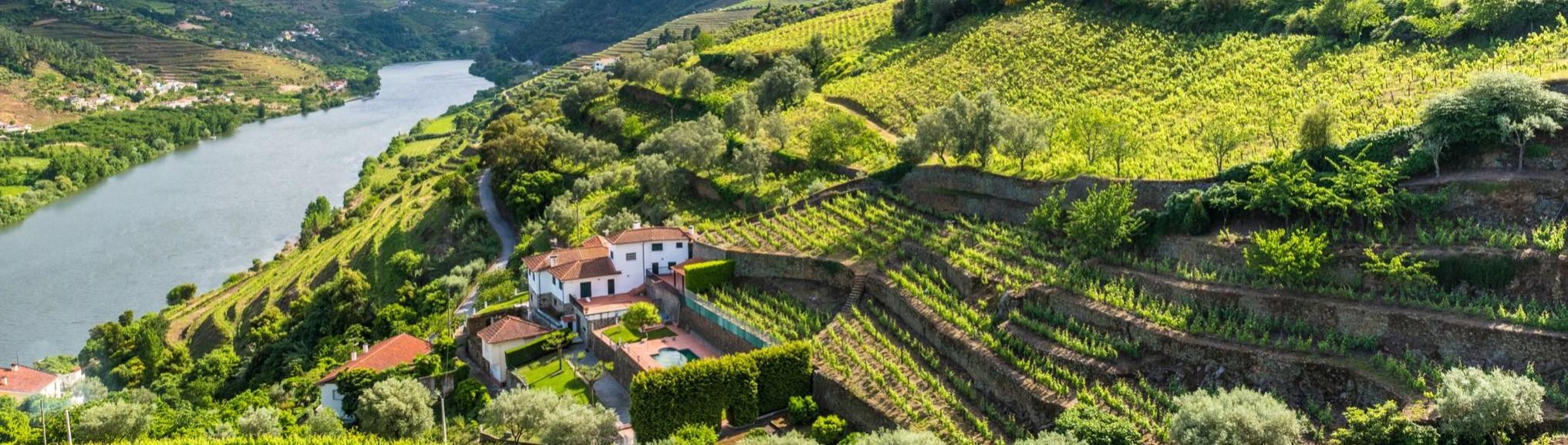 Douro Vallei