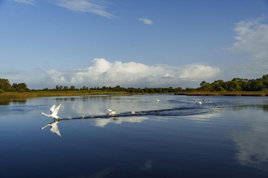 Lough Ree