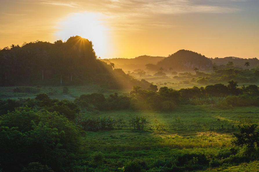 Vinales
