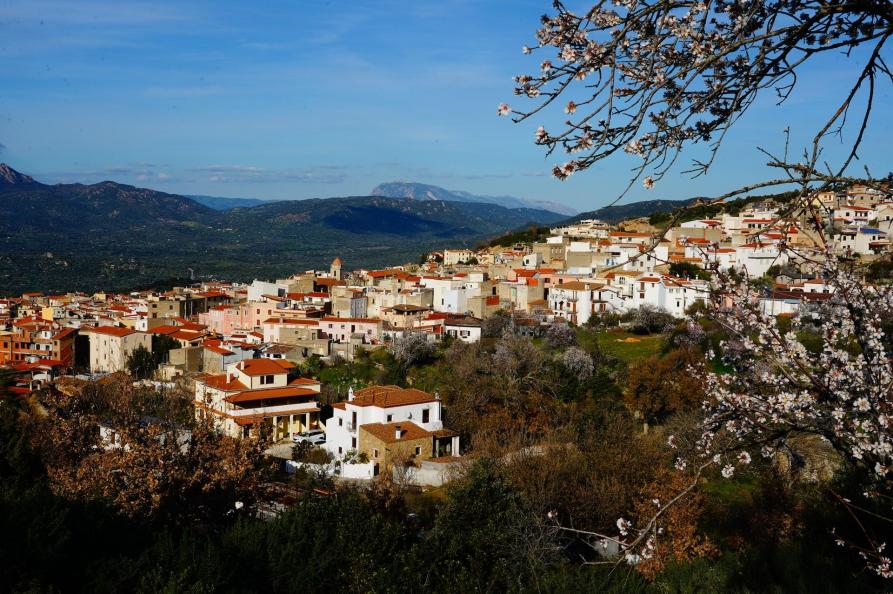 Oliena, Sardinie