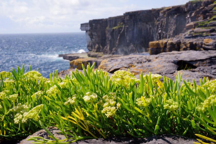 Aran Islands