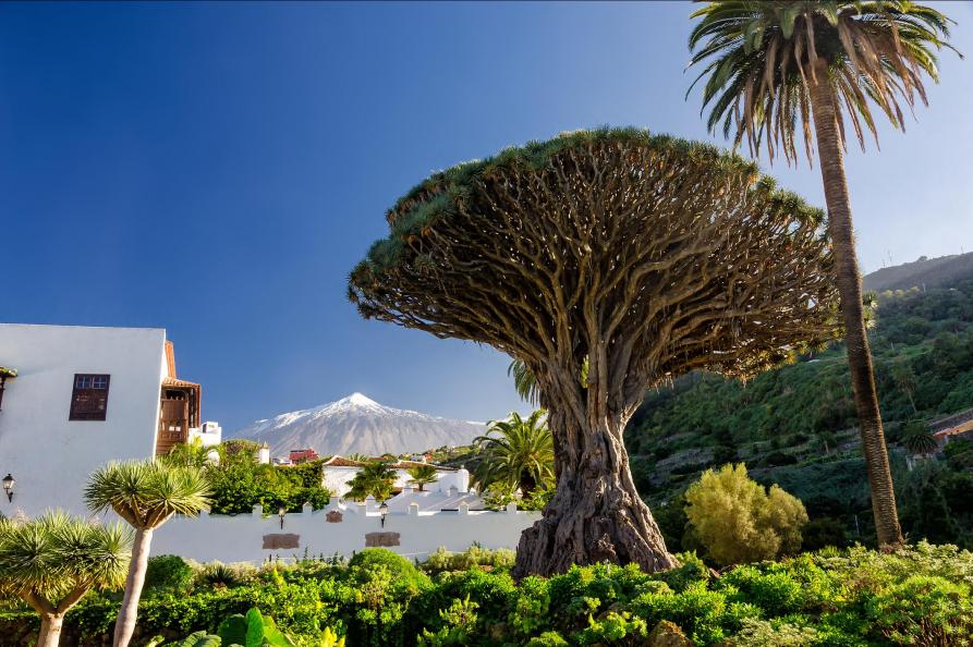Landelijk Tenerife