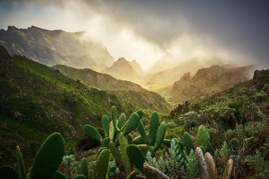 Landelijk Tenerife