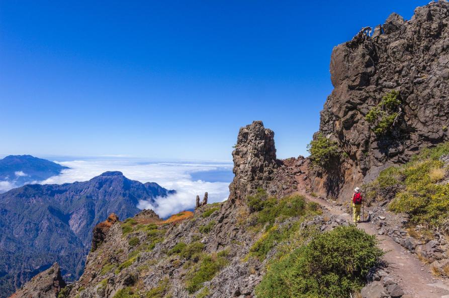 La Palma