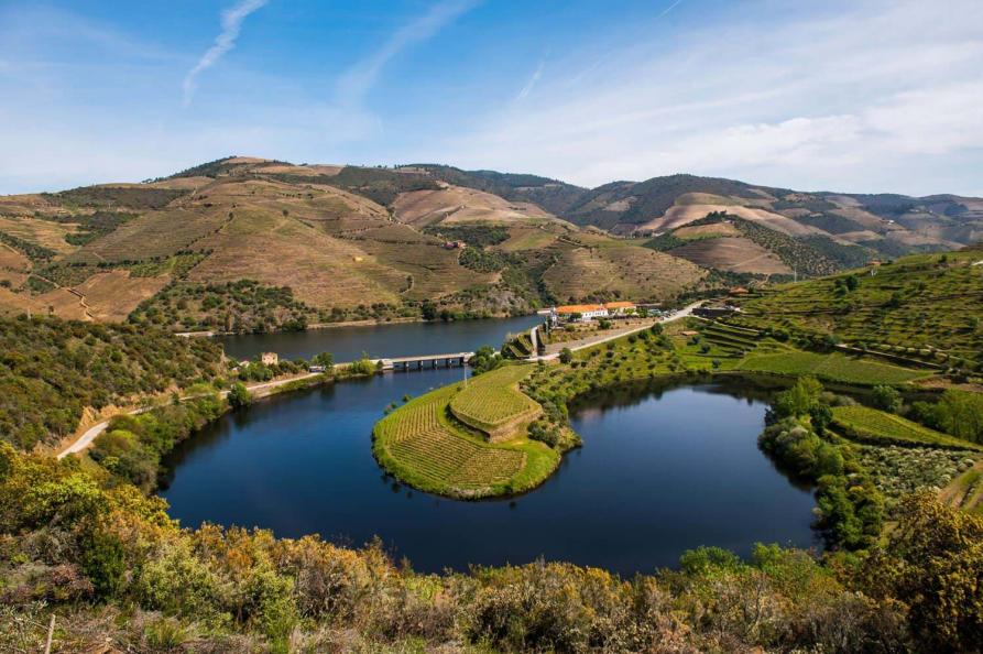 Vila Gale Douro Vineyards | Armamar