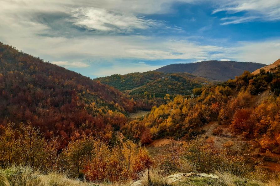 Pogradec bergen