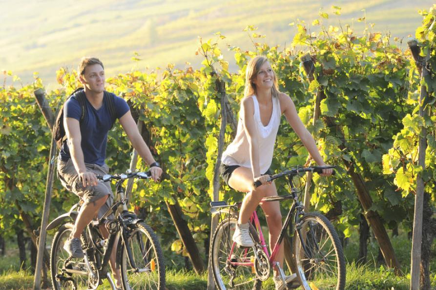 E-Bike Tour in landhuizen door Noord-Portugal - 8-daagse fietsreis