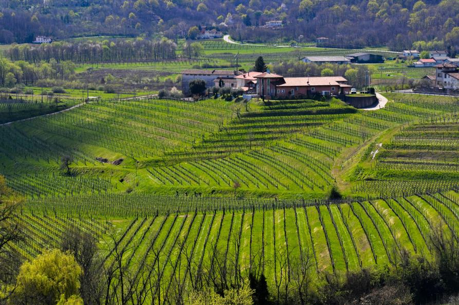 Friuli-Venezia Giulia