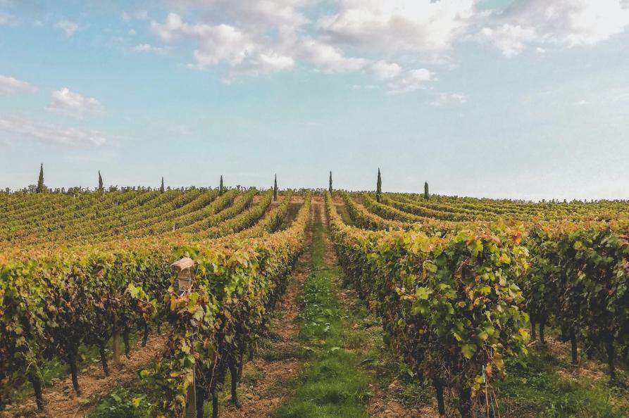 Omgeving Bordeaux