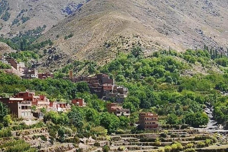 Toubkal Ecolodge