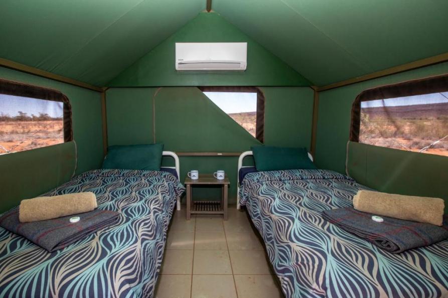 Kings Creek Station - bush tent