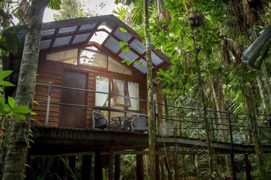 Daintree Wilderness Lodge