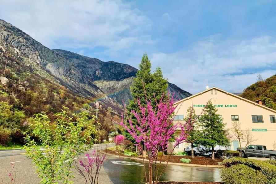 Yosemite View Lodge