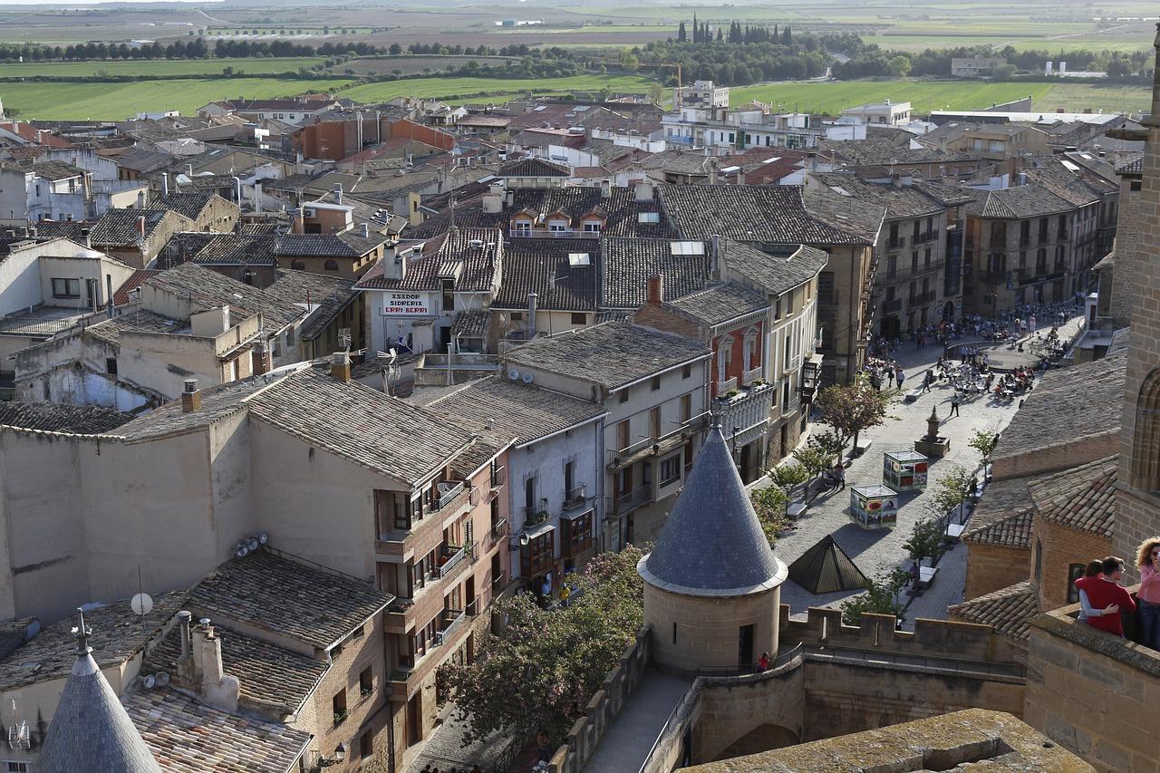 De Rioja en Navarra wijnroute - 4-daagse fly-drive – afbeelding 5
